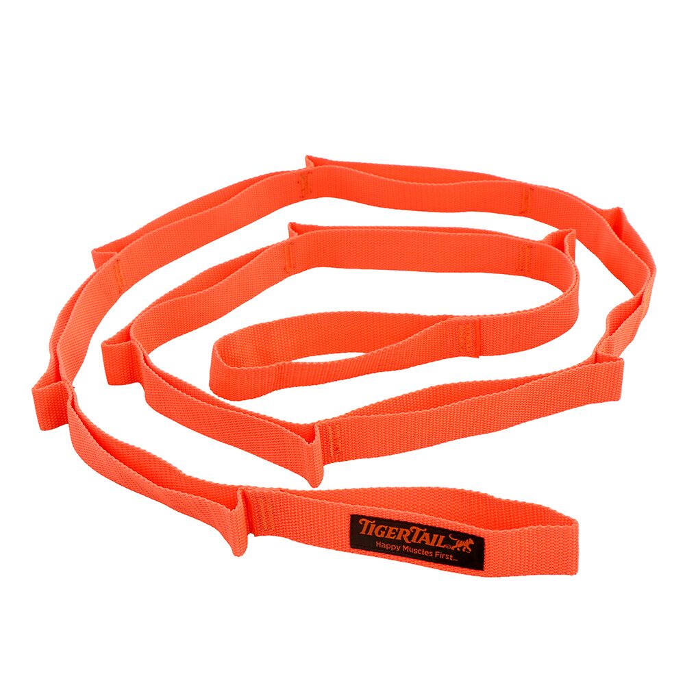 Tiger Tail PT Stretch Strap