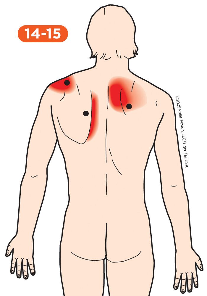 Back Pain: Causes, Relief & Self-Massage Guide | Tiger Tail USA