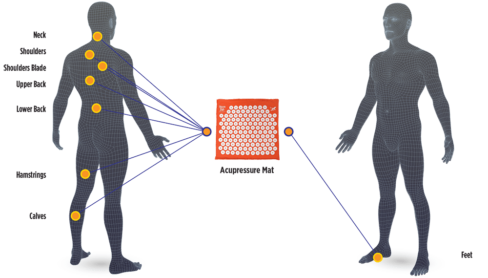 BodyChart_AcuMat Acupressure Mat Body Map Application