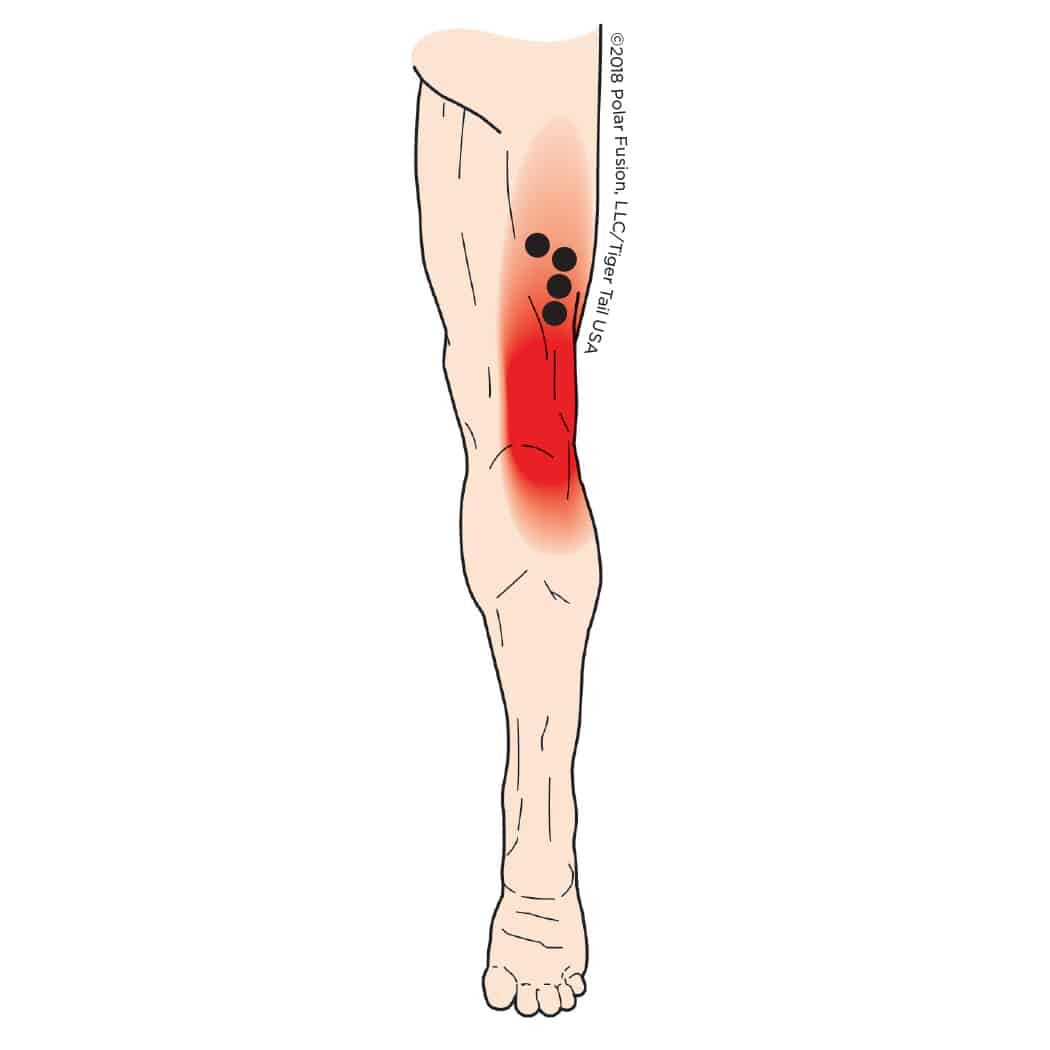 MuscleEducation_BicepsFemoris_6-3 MuscleEducation_BicepsFemoris_6-3