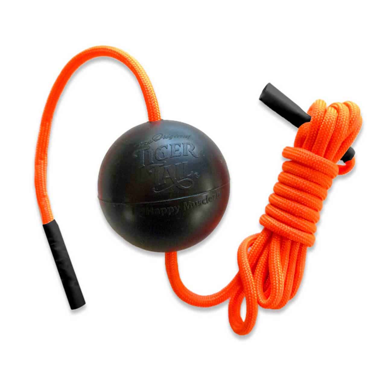 TigerBall1-1-1