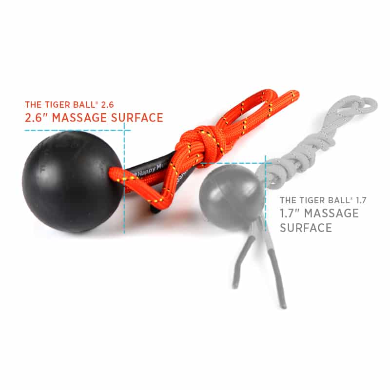 TB26_05-1-1